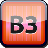 B3