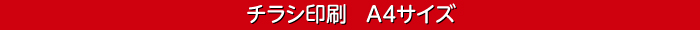 チラシ印刷B4サイズ